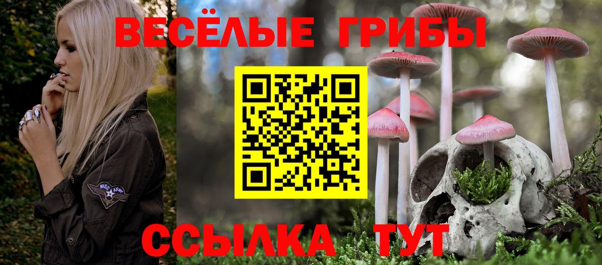 Псилоцибиновые грибы мухоморы  Псилоцибиновые грибы мухоморы  Когалым  где купить   Вход с VPN 